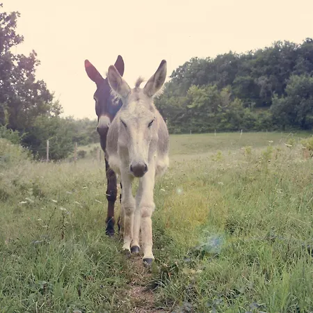 A Clairefontaine 오슈