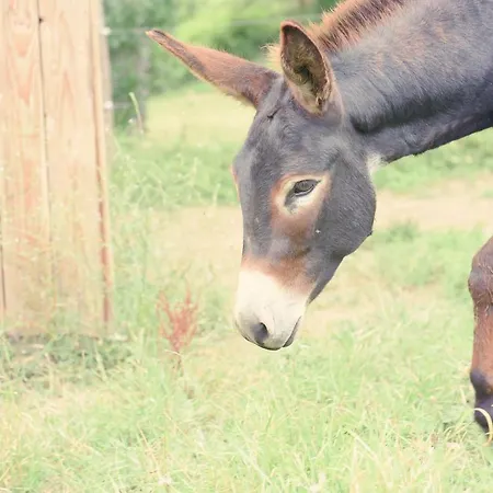 A Clairefontaine 게스트하우스 3*