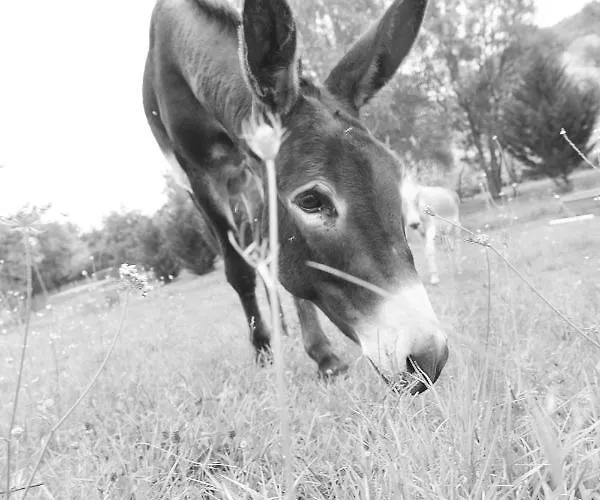 A Clairefontaine ゲストハウス 3*