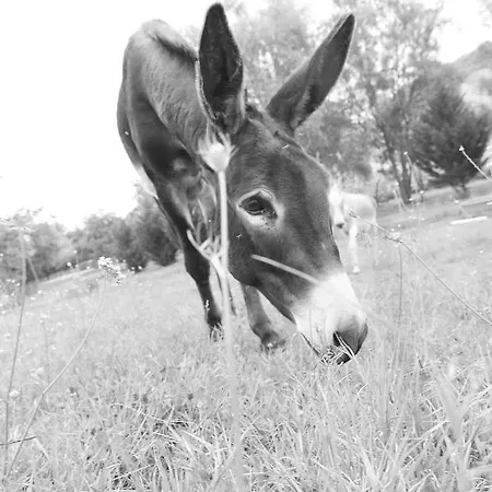A Clairefontaine Maison d'hôtes 3*